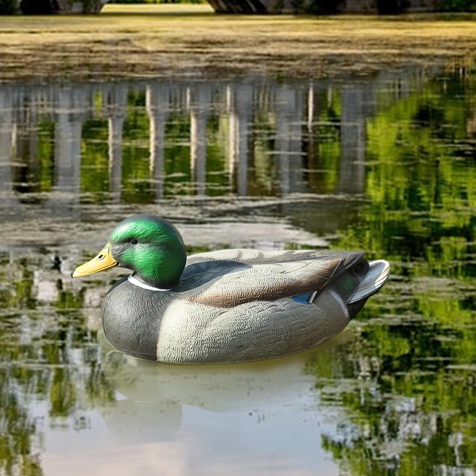 Decoy Duck Plastic - Anatomisch Perfekter Plastik-Entenattrappe Marder-Entenjunge für Jagdausrüstung