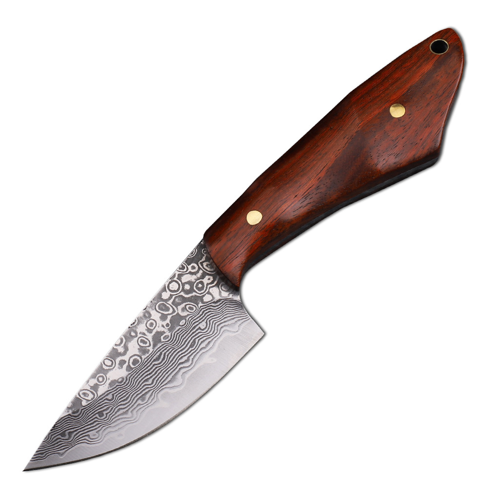 Hunting Camp Outdoor Kitchen - Vg10 Damaskus Stahl Jagdmesser Überleben Sandelholz