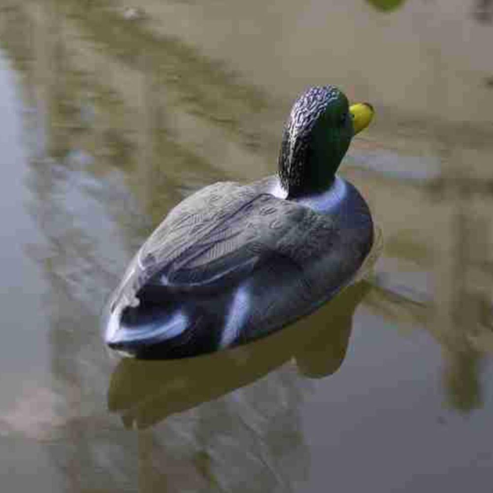 Schwimmende Entenattrappe: Rea – Decoy Duck Plastic Bewertung und Preis