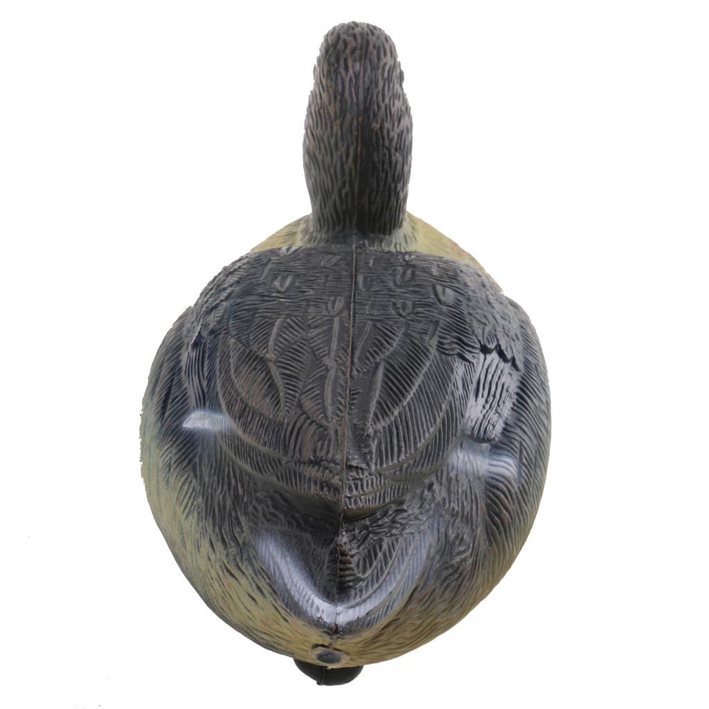Hochrealistische Plastik-Enten – Decoy Duck Plastic Bewertung und Preis