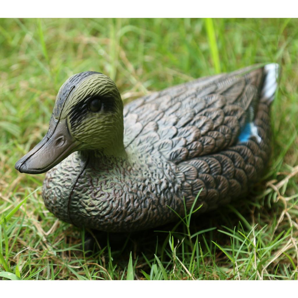 Lebensgroße Plastik-Mandarinen – Decoy Duck Plastic Bewertung und Preis