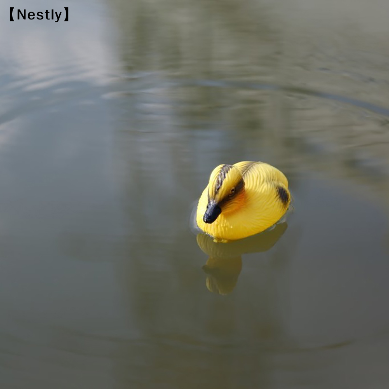 Schwimmende Ente, Entenküken,  – Decoy Duck Plastic Bewertung und Preis