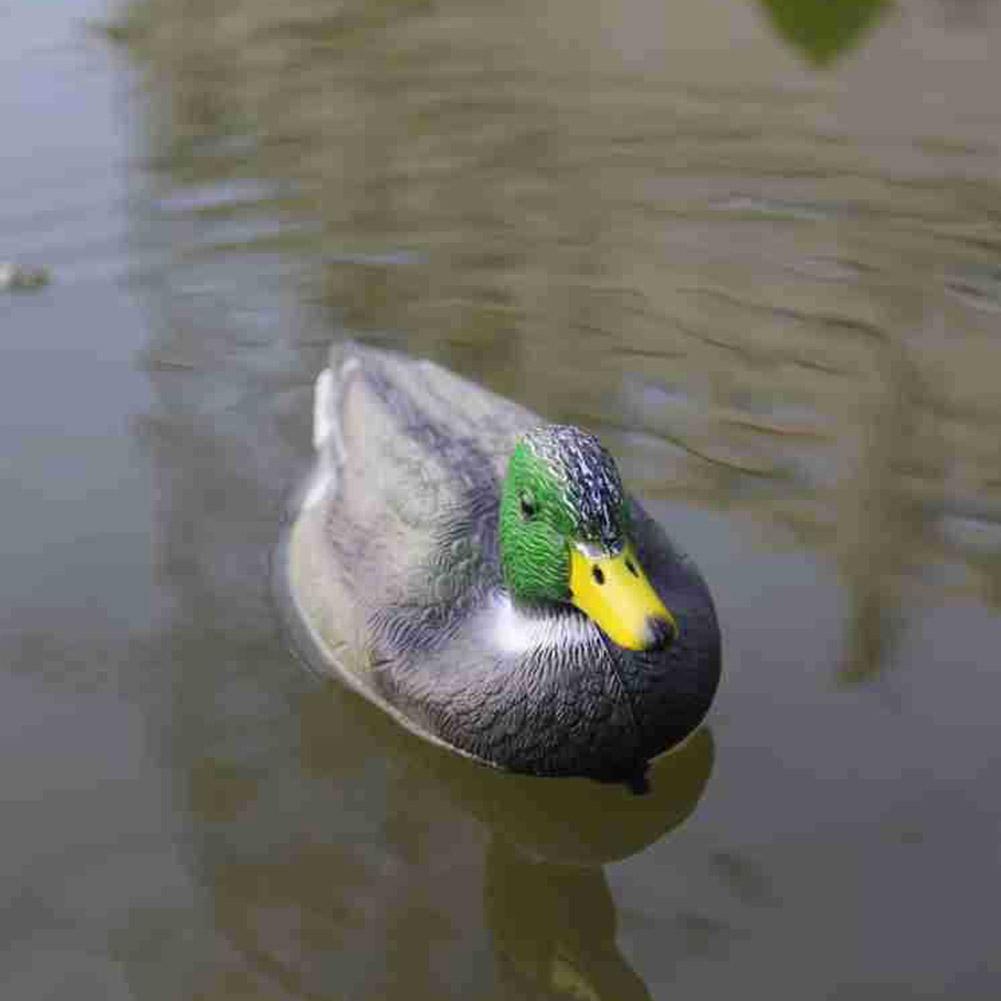 Realistische Outdoor-Entenattr – Decoy Duck Plastic Bewertung und Preis