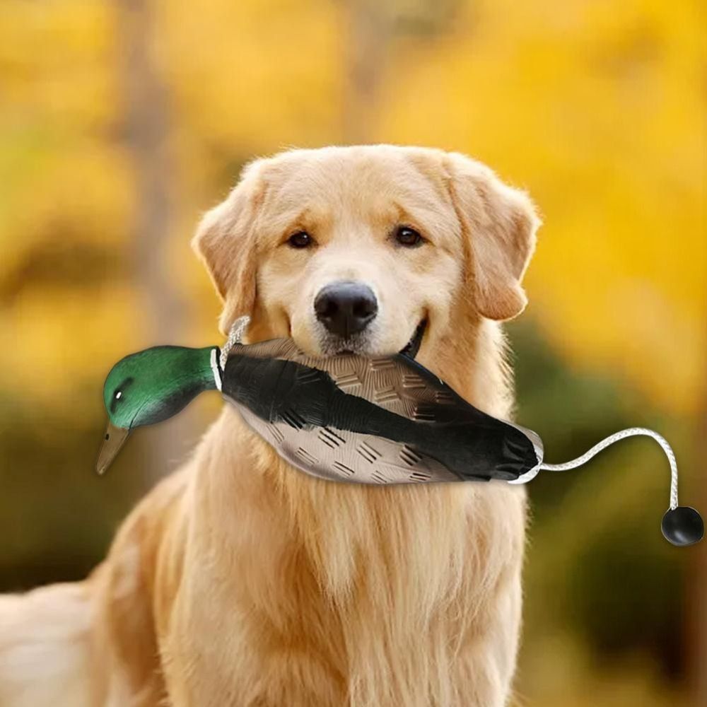 Stockente Ente Lockvogel Hund  – Decoy Duck Plastic Bewertung und Preis
