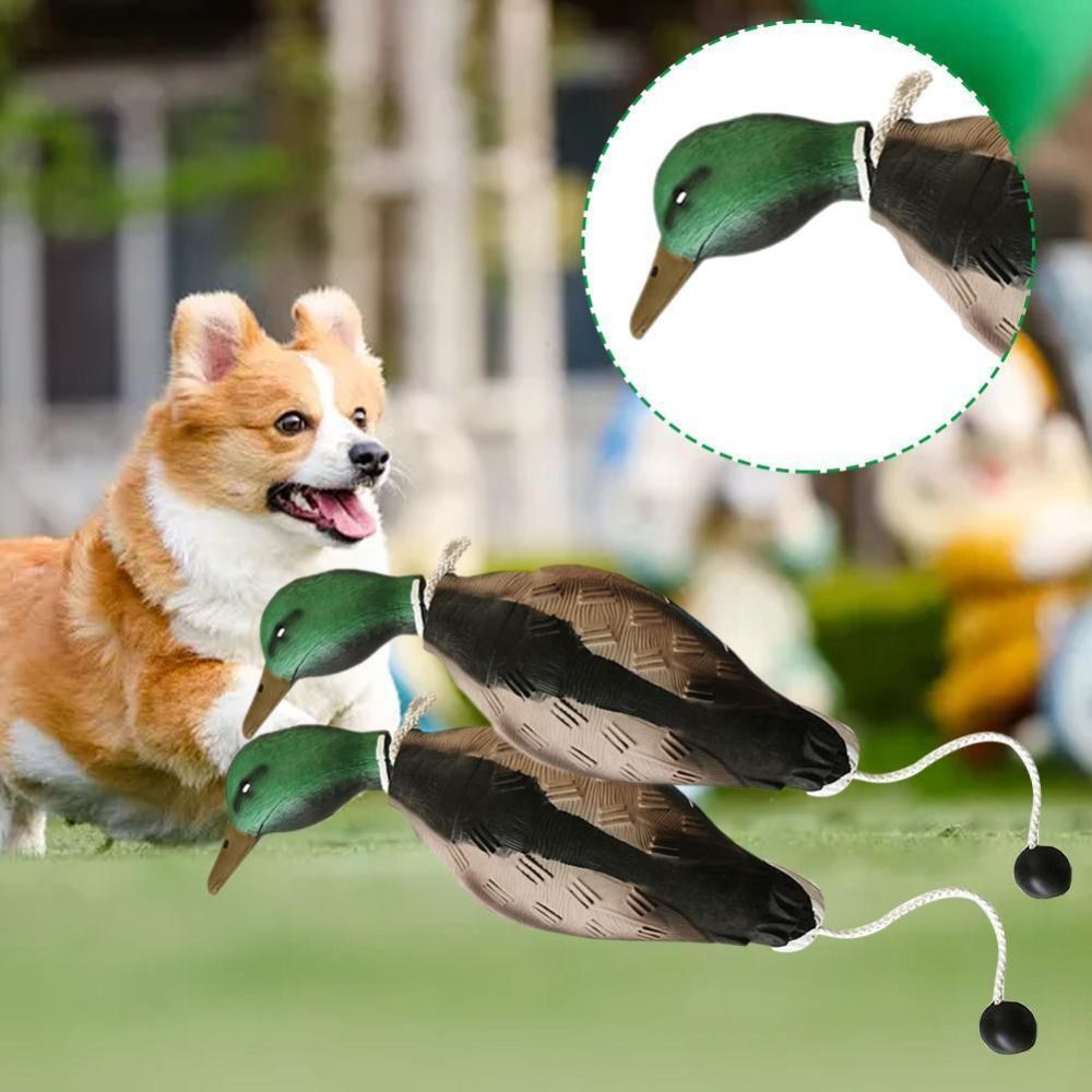 Stockente Ente Lockvogel Hund  – Decoy Duck Plastic Bewertung und Preis