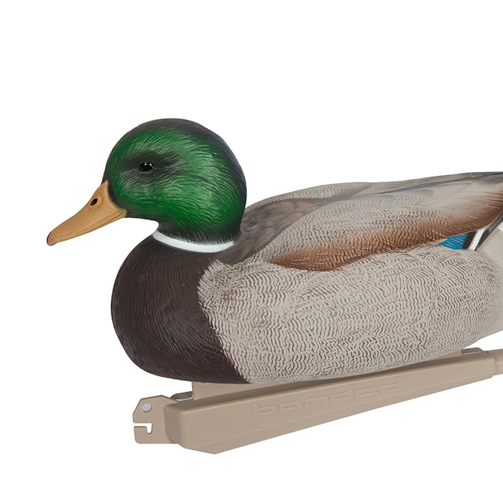 Anatomisch Perfekter Plastik-E – Decoy Duck Plastic Bewertung und Preis
