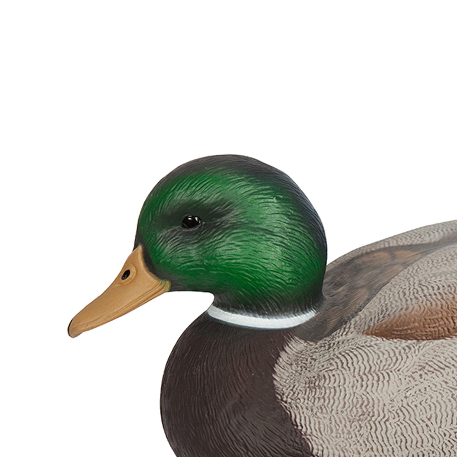 Anatomisch Perfekter Plastik-E – Decoy Duck Plastic Bewertung und Preis
