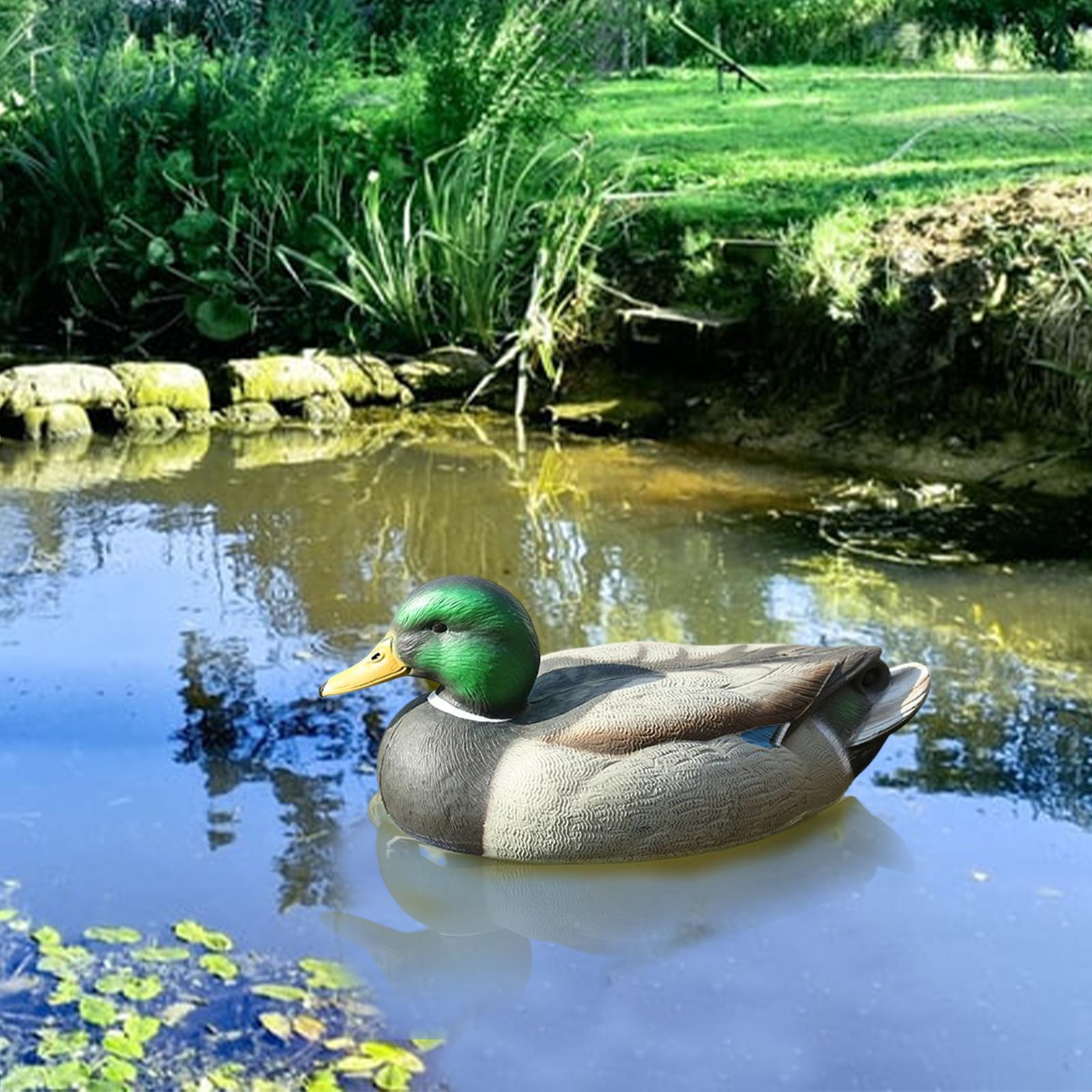 Anatomisch Perfekter Plastik-E – Decoy Duck Plastic Bewertung und Preis