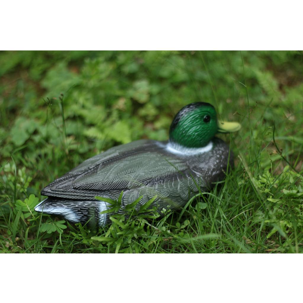 Lebensechte Plastik-Entenattra – Decoy Duck Plastic Bewertung und Preis