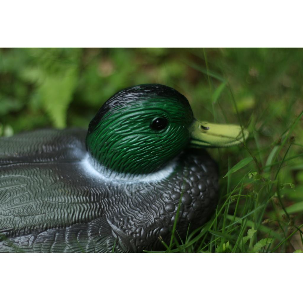 Lebensechte Plastik-Entenattra – Decoy Duck Plastic Bewertung und Preis