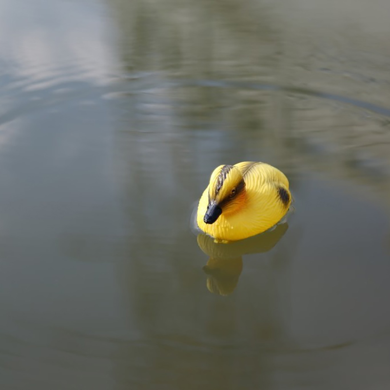 Schwimmende Ente, Entenküken,  – Decoy Duck Plastic Bewertung und Preis