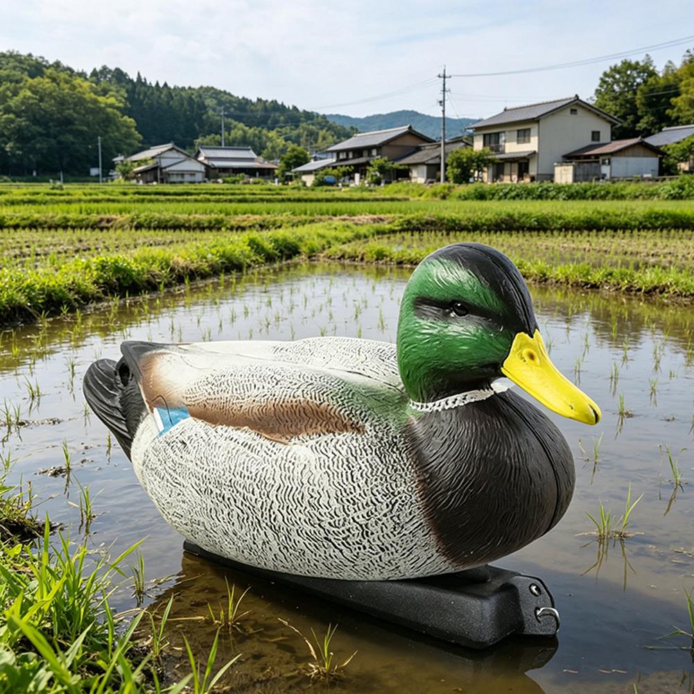 Schwimmende Entenattrappe 3D R – Decoy Duck Plastic Bewertung und Preis