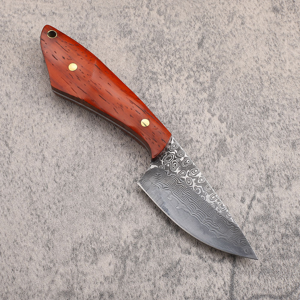 Vg10 Damaskus Stahl Jagdmesser – Hunting Camp Outdoor Kitchen Bewertung und Preis